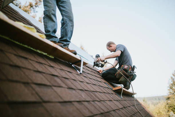 Best Roof Gutter Cleaning  in Crystal Lakes, OH